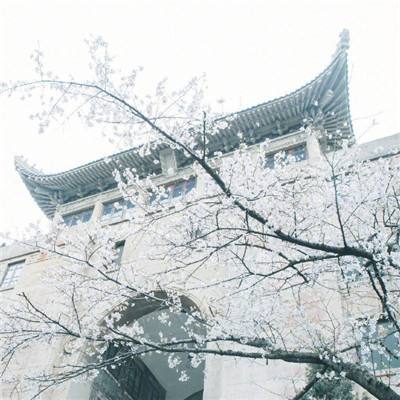 上海：在苏浙皖用公积金贷款购房，符合条件者可提取上海公积金余额还贷