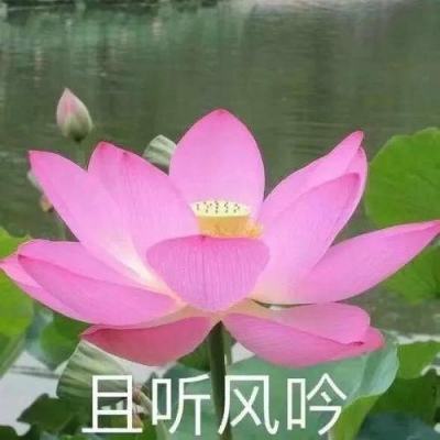 【境内疫情观察】黑龙江新增29例本土病例（1月26日）